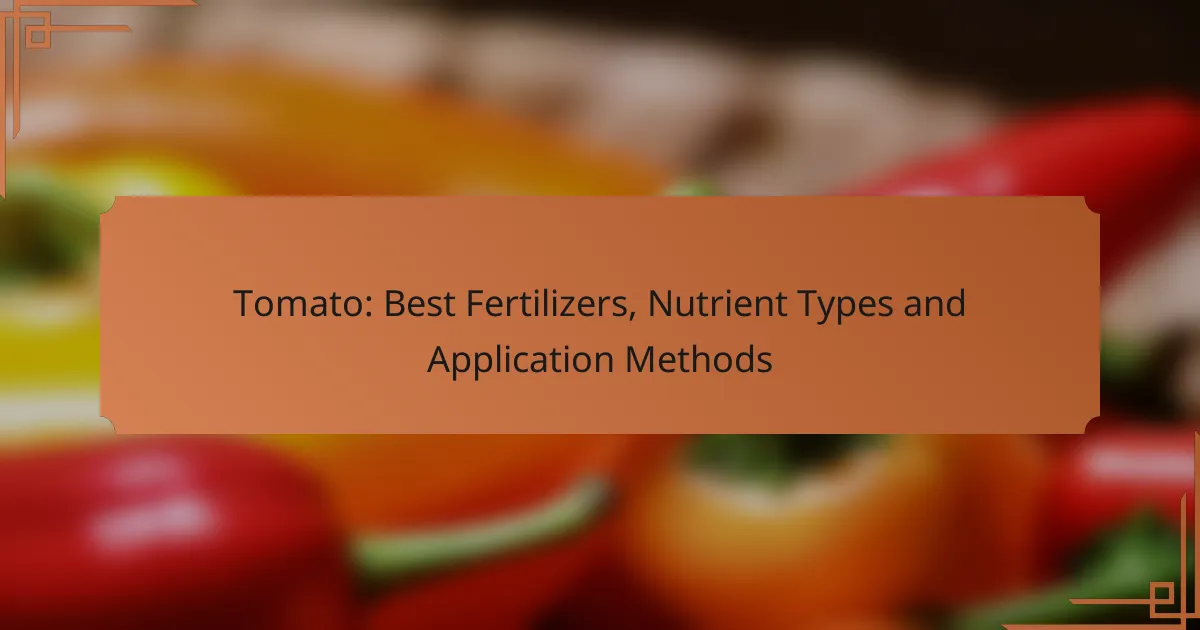 Tomato: Best Fertilizers, Nutrient Types and Application Methods