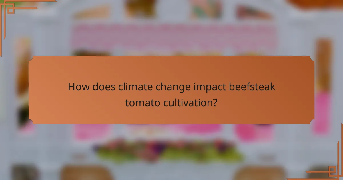How does climate change impact beefsteak tomato cultivation?
