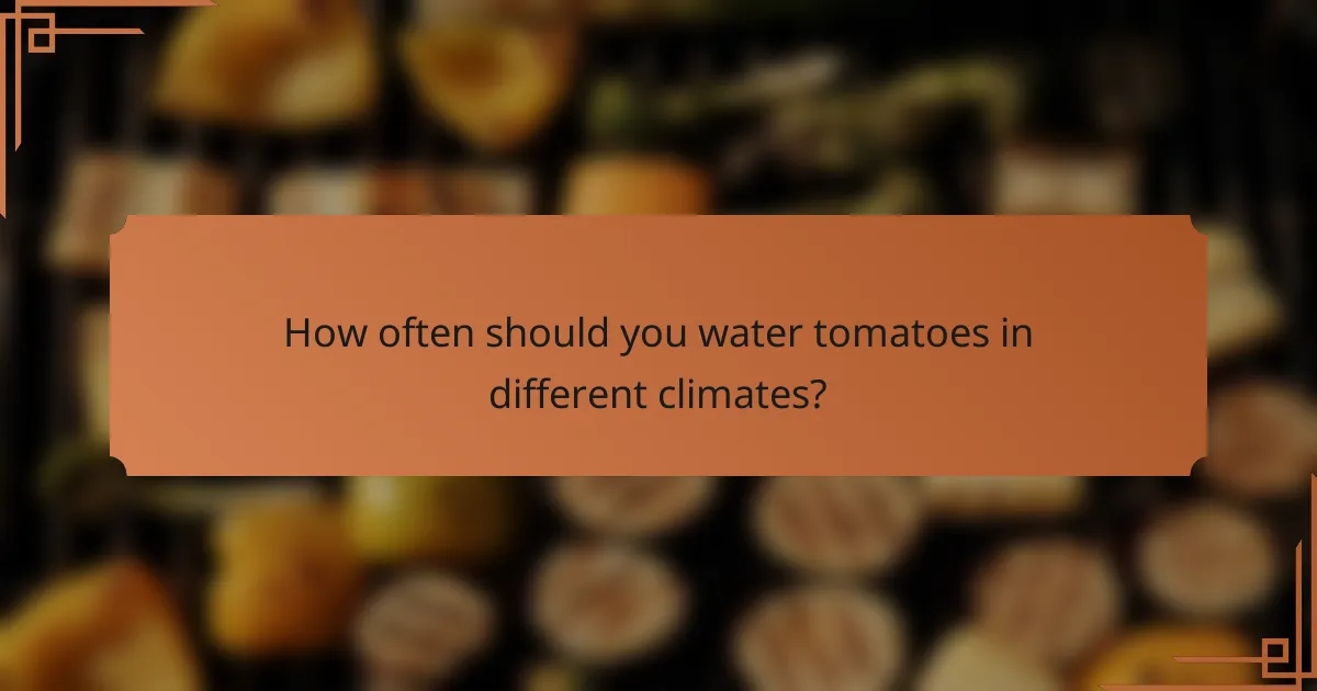 How often should you water tomatoes in different climates?