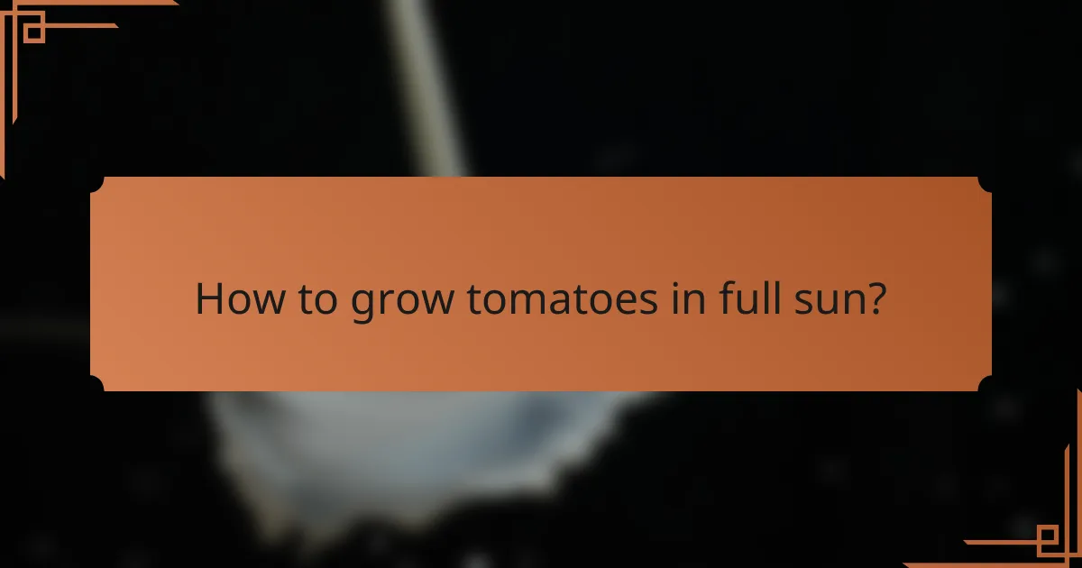 How to grow tomatoes in full sun?
