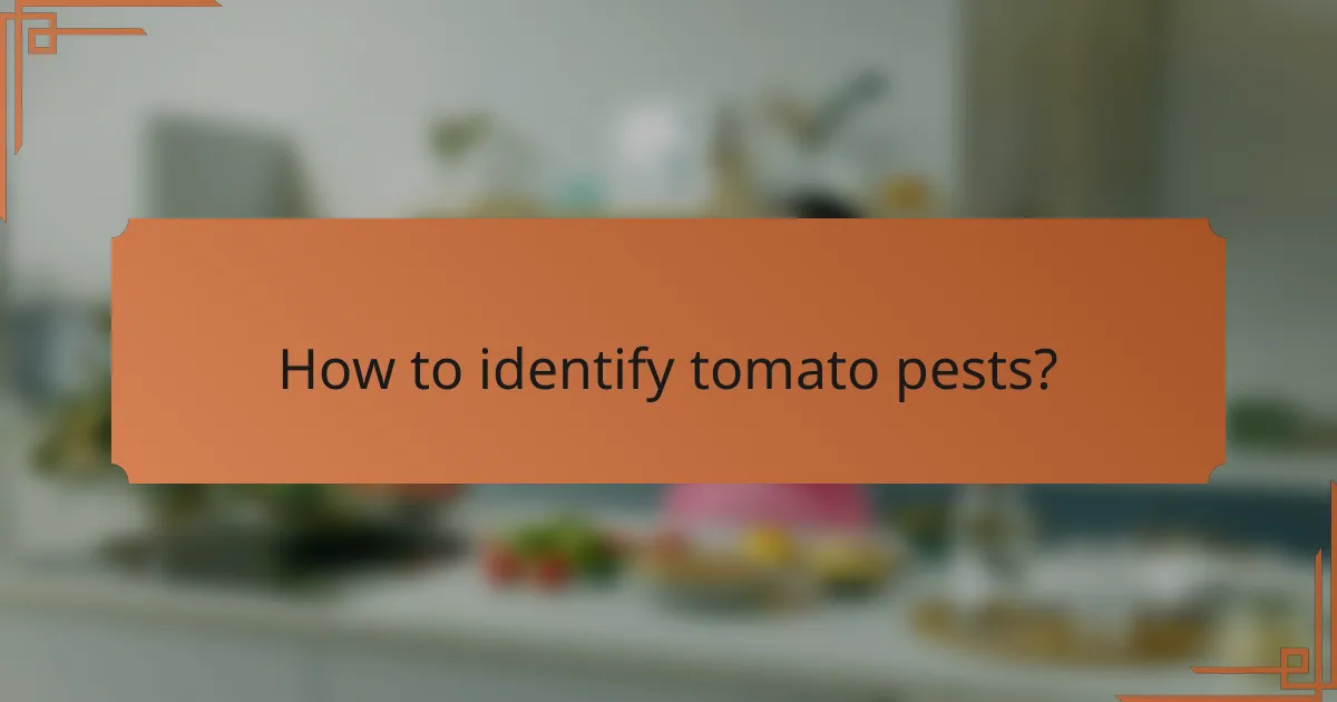 How to identify tomato pests?