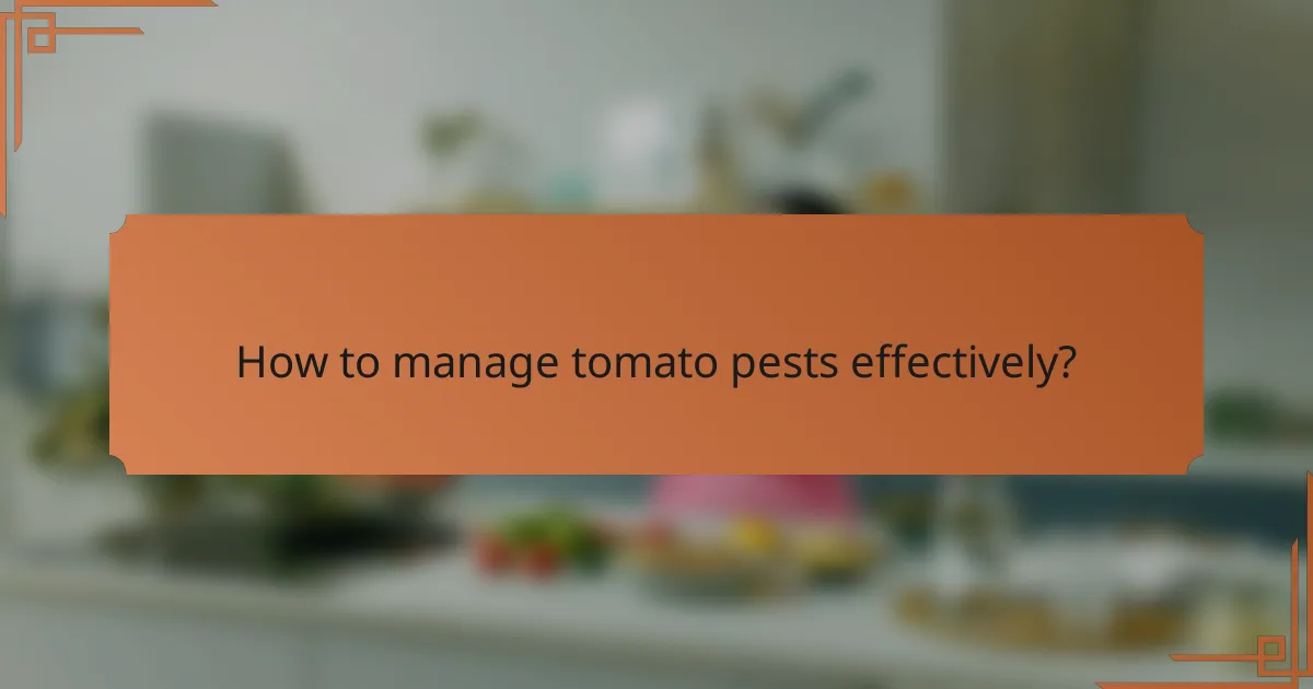How to manage tomato pests effectively?