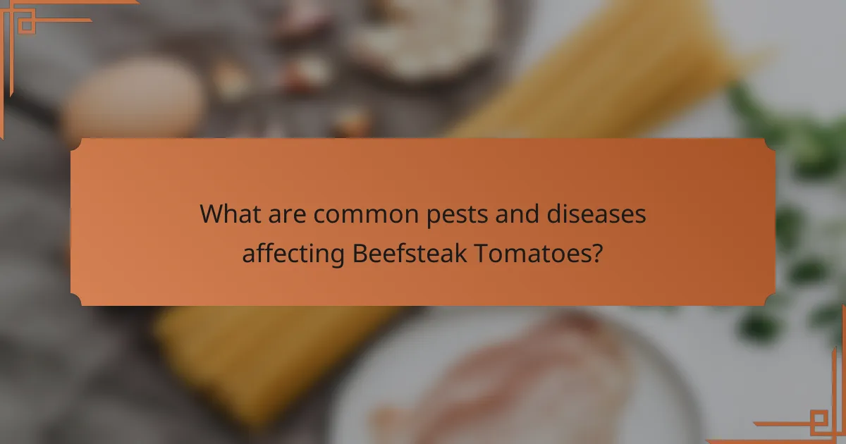 What are common pests and diseases affecting Beefsteak Tomatoes?