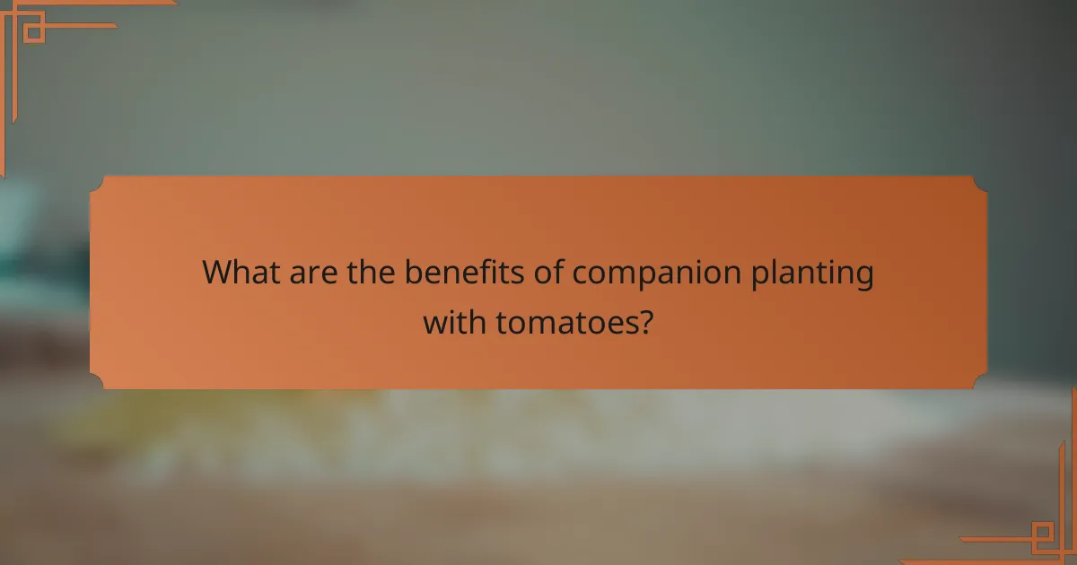 What are the benefits of companion planting with tomatoes?