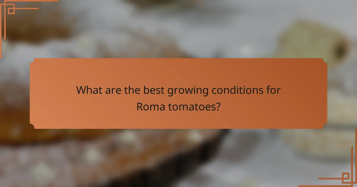 What are the best growing conditions for Roma tomatoes?