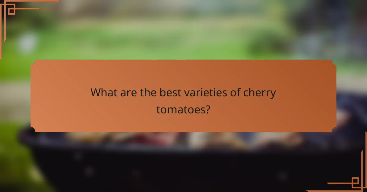 What are the best varieties of cherry tomatoes?