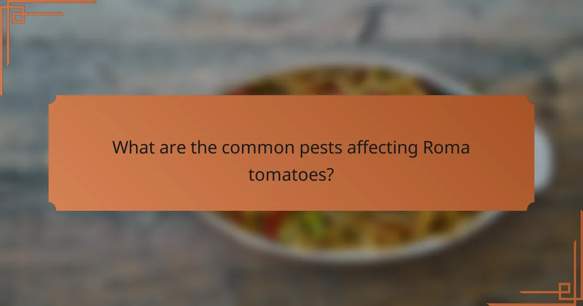 What are the common pests affecting Roma tomatoes?