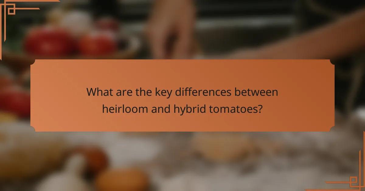 What are the key differences between heirloom and hybrid tomatoes?