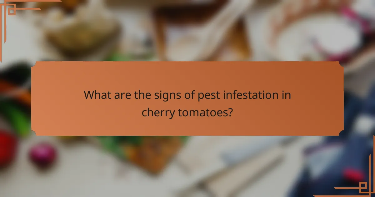 What are the signs of pest infestation in cherry tomatoes?