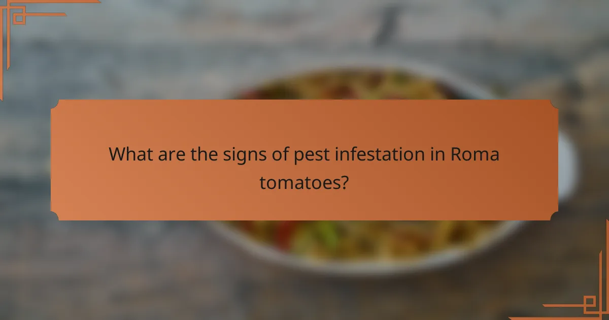 What are the signs of pest infestation in Roma tomatoes?