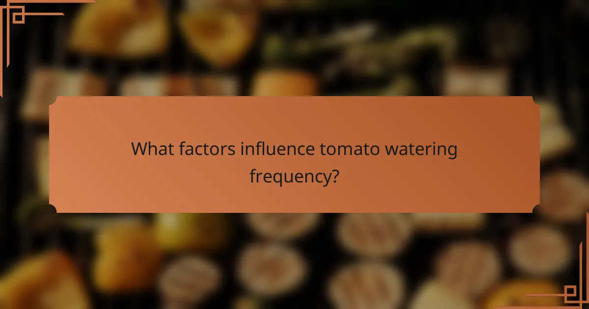 What factors influence tomato watering frequency?