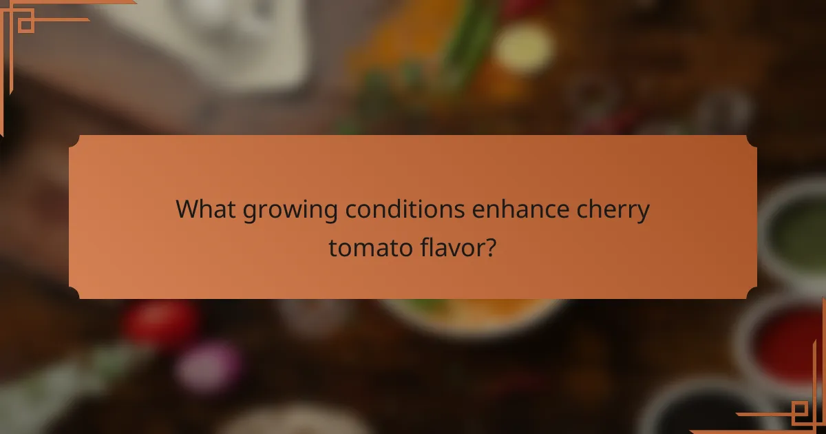 What growing conditions enhance cherry tomato flavor?