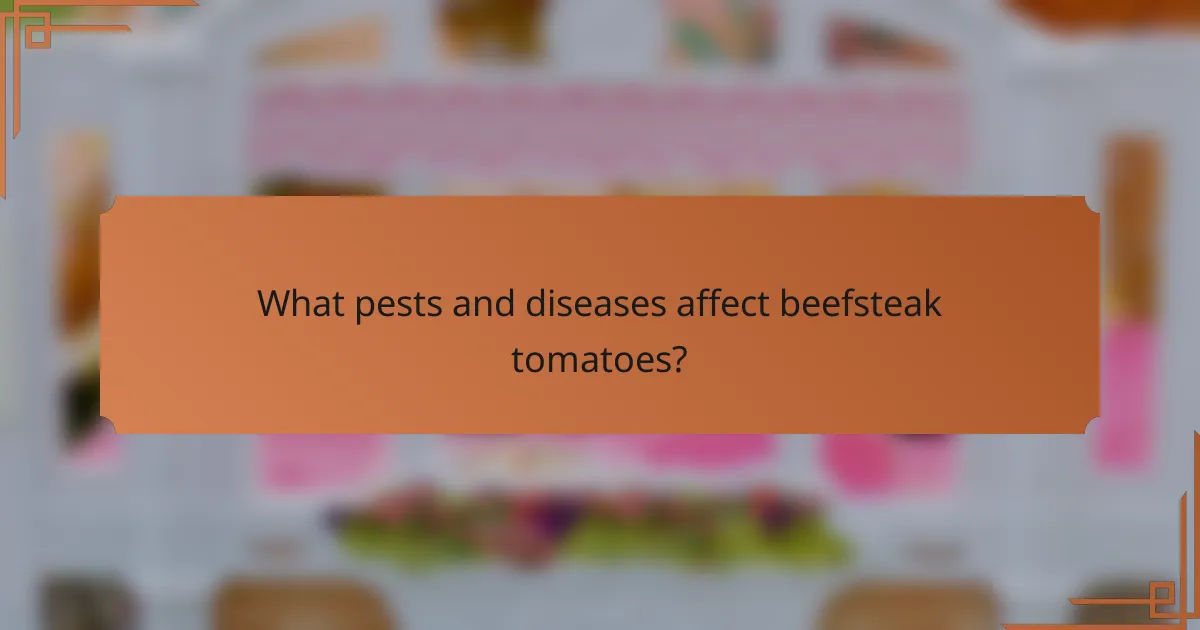 What pests and diseases affect beefsteak tomatoes?