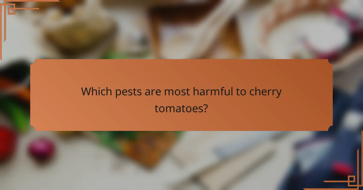Which pests are most harmful to cherry tomatoes?